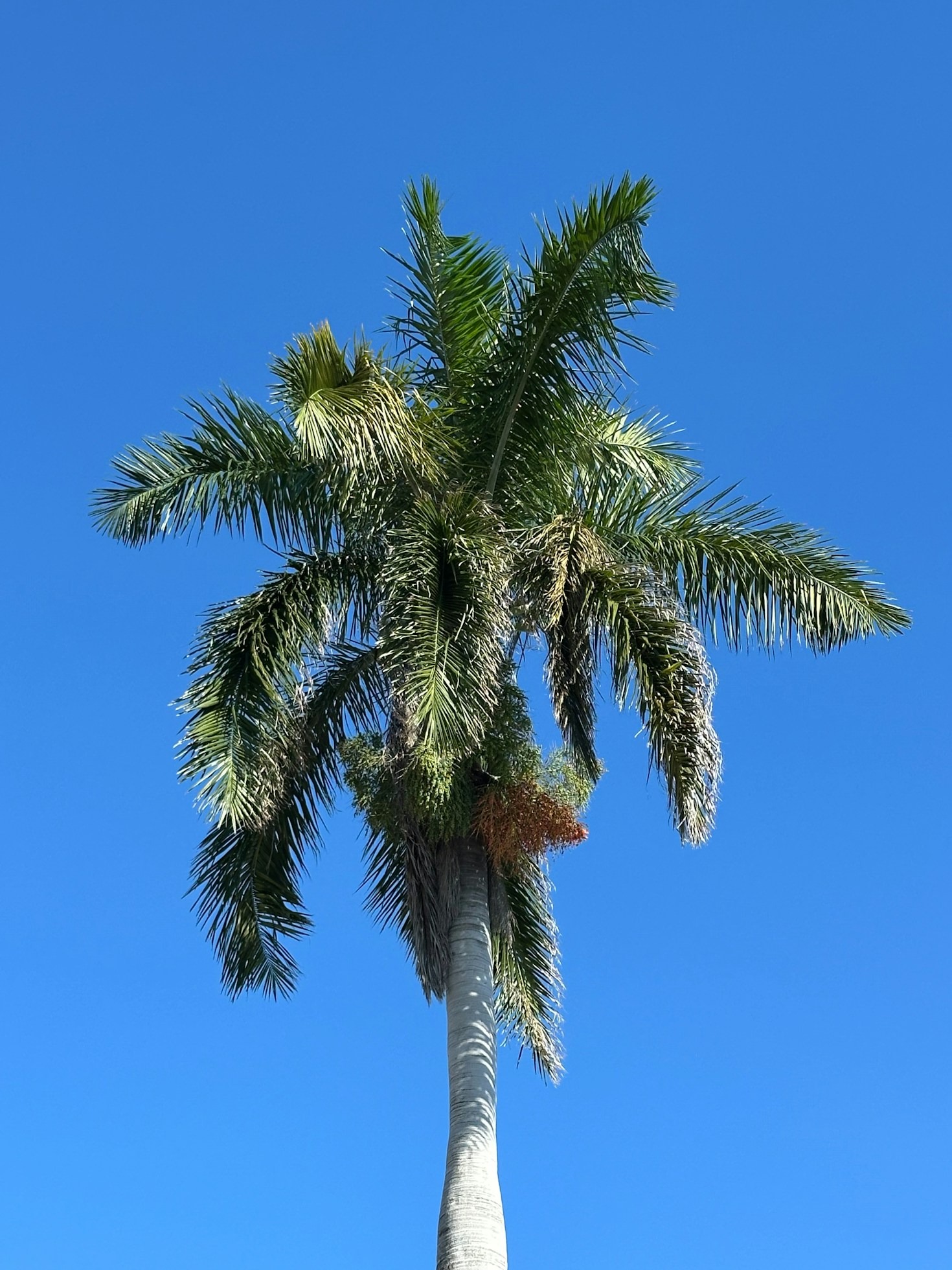 Mejor Época para Explorar el Parque Nacional Marietas